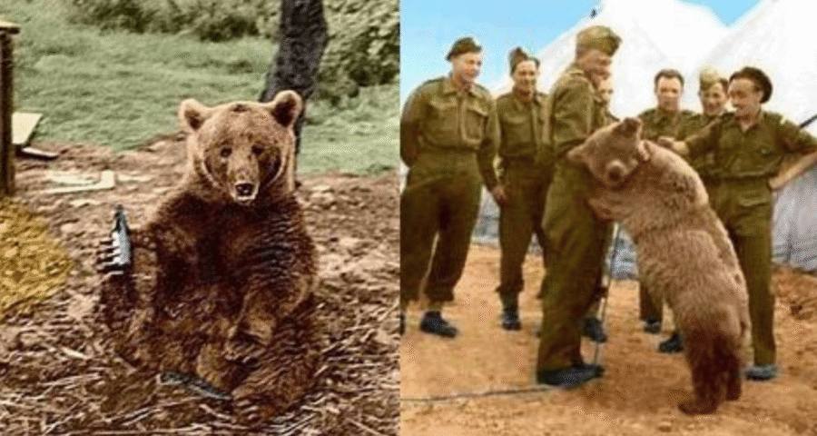 Wojtek with soldiers